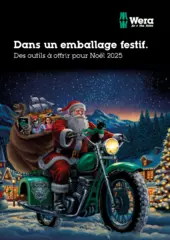 2025 Christmas items